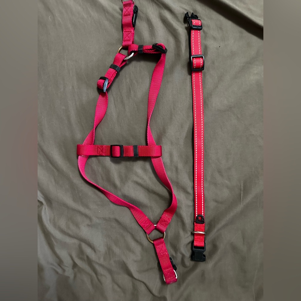 Red Adjustable Dog Harness & Collar
